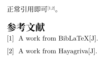 Typst compiled image